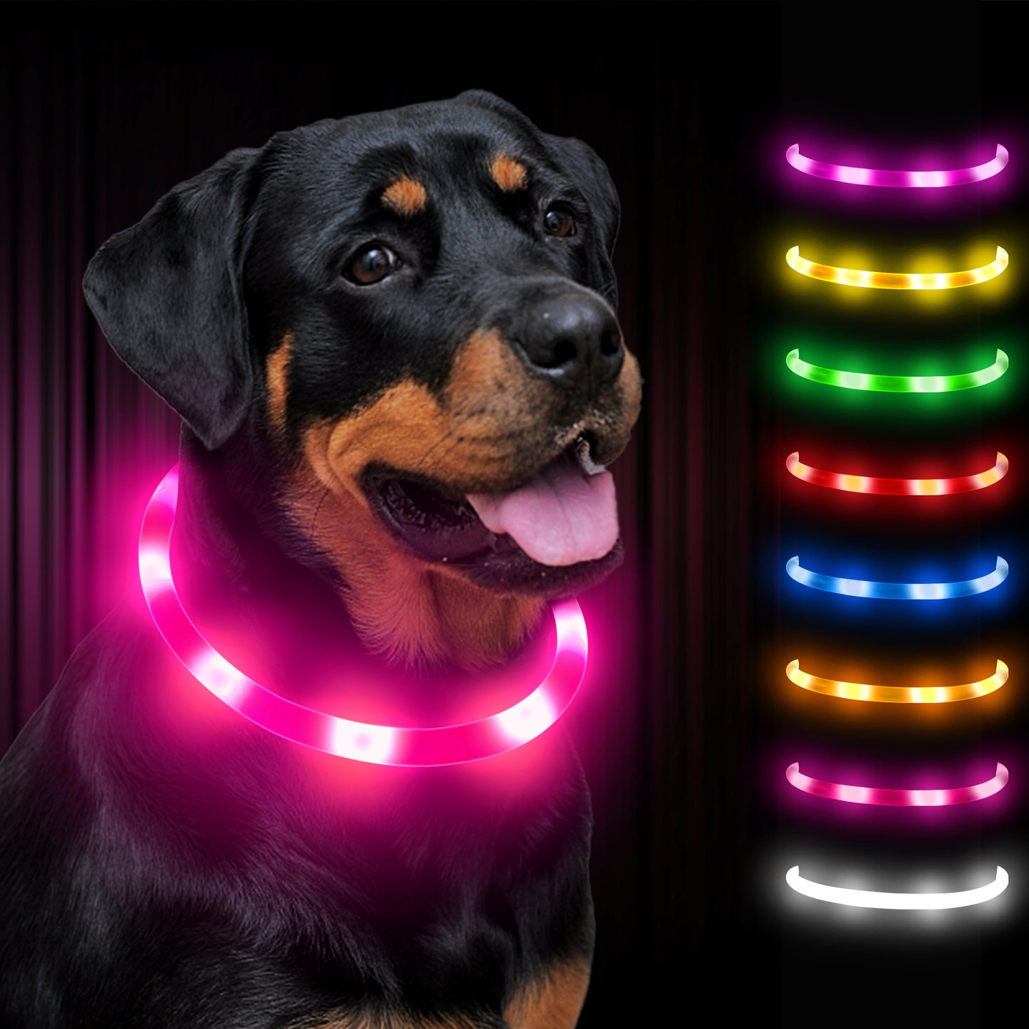 JOYTALE 1pc Light Up The Night With A USB Rechargeable LED Pet Collar - & Adjustable For Dogs & Cats!