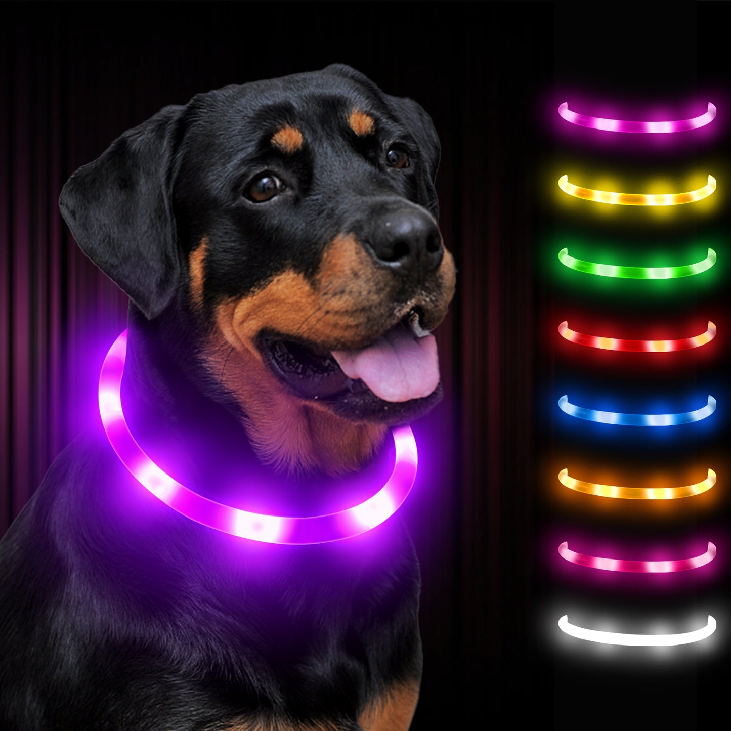 JOYTALE 1pc Light Up The Night With A USB Rechargeable LED Pet Collar - & Adjustable For Dogs & Cats!