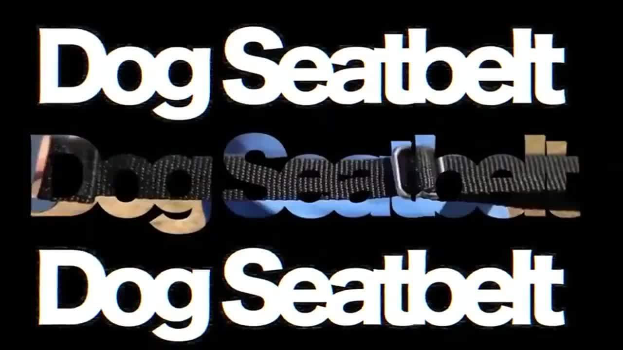 Retractable Pet Safety Seat Belt - 1pc Dog & Cat Car Travel