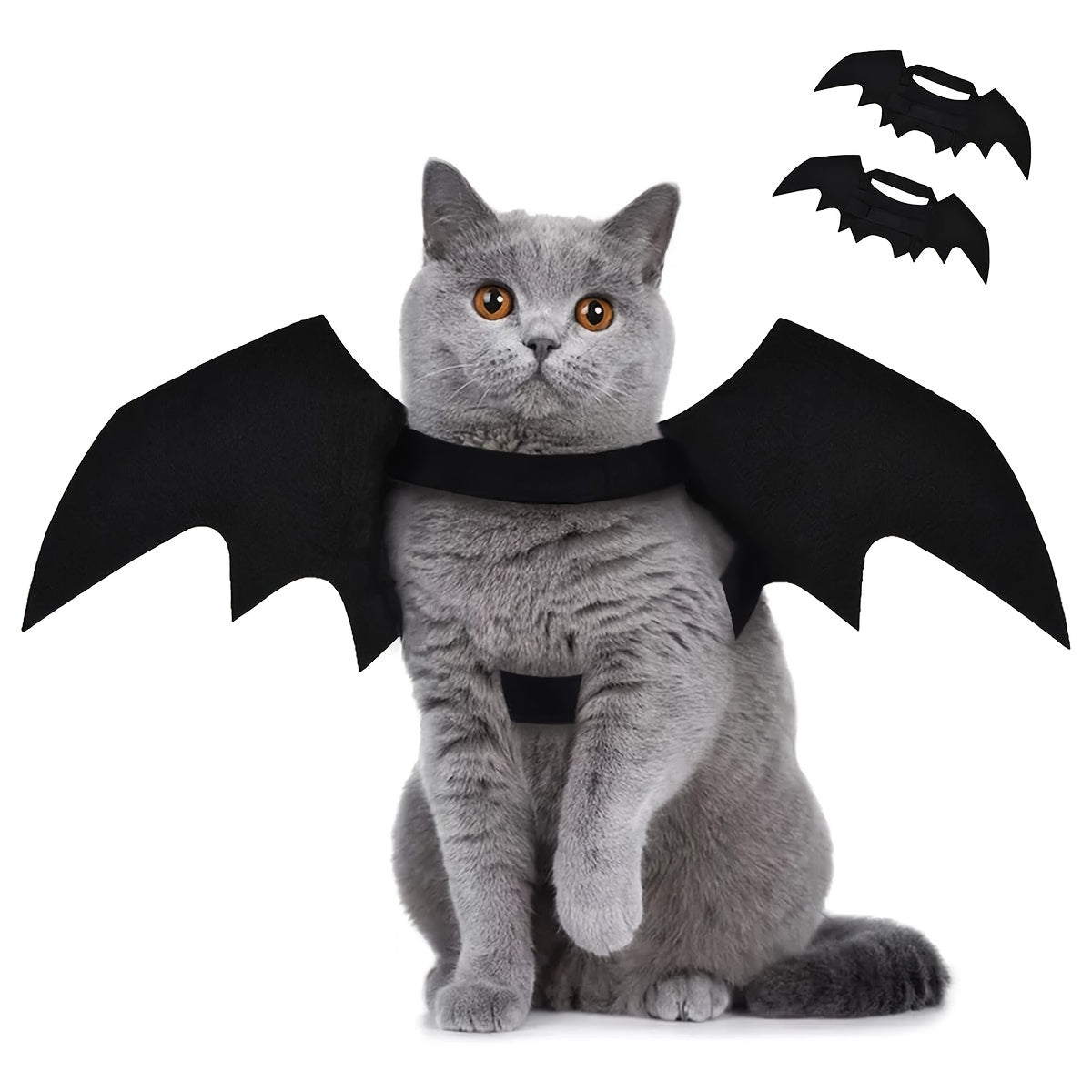 Spook Up Your Pet this Halloween with These Adorable Bat Wings!
