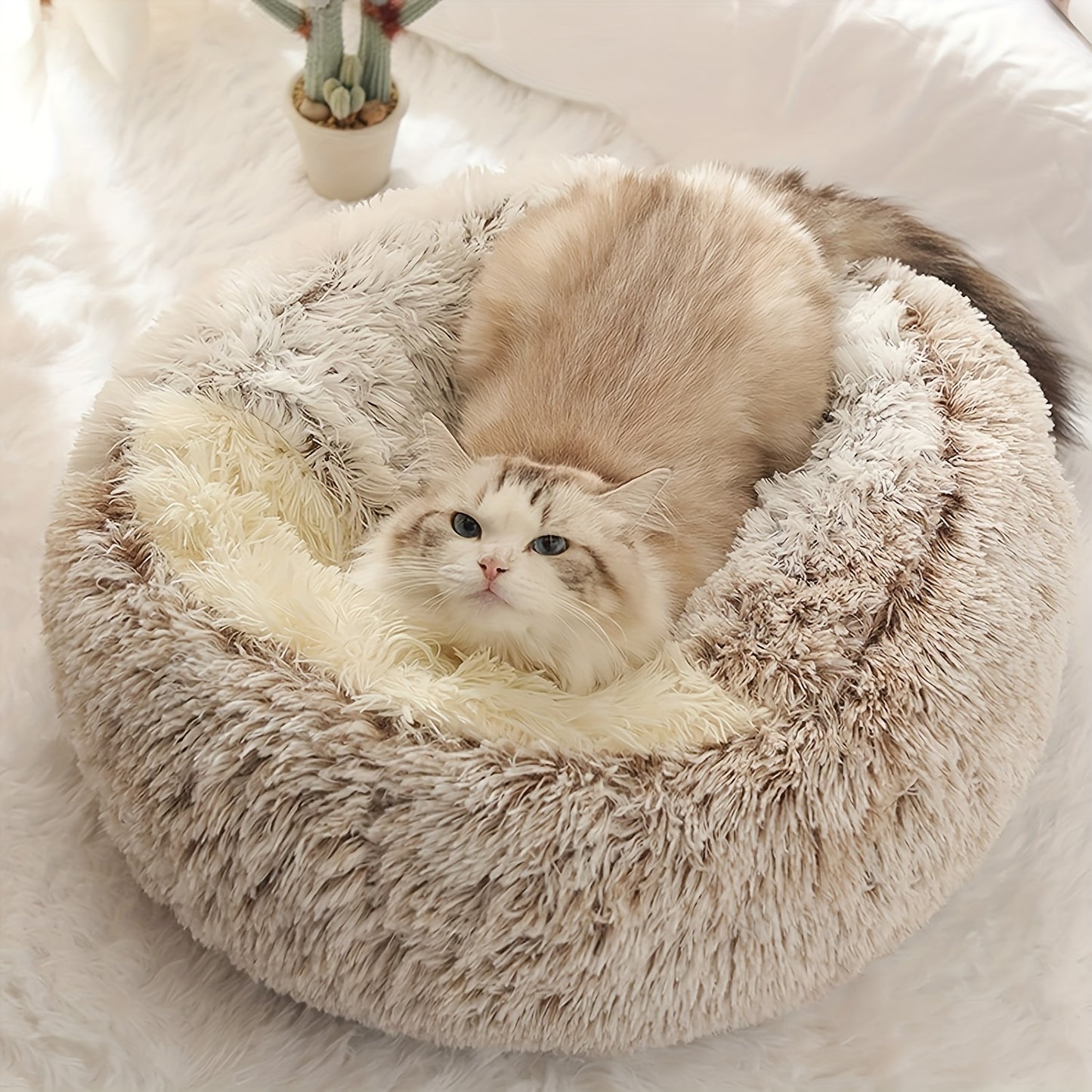 Cozy Luxurious Plush Donut Pet Bed - Hooded, Non-Slip Bottom, Easy to Clean - for Cats & Small Dogs, Perfect for Winter Comfort