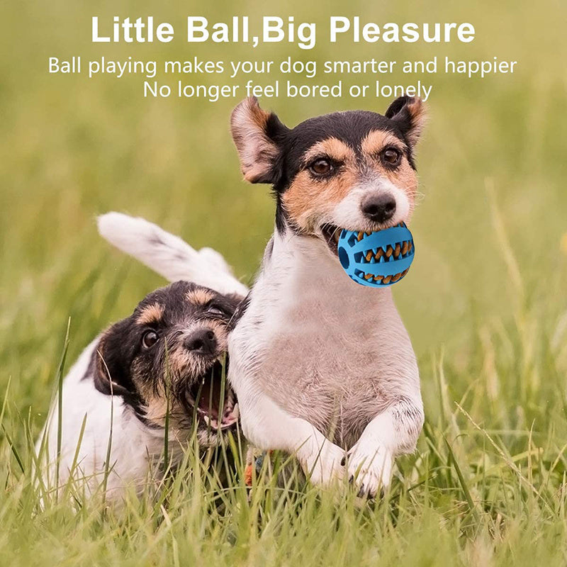 [1PC Interactive Dog Ball Toy] 1PC Dog Ball Toys Small Dogs Interactive Elastici