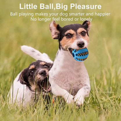 [1PC Interactive Dog Ball Toy] 1PC Dog Ball Toys Small Dogs Interactive Elastici