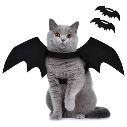 Spook Up Your Pet this Halloween with These Adorable Bat Wings!
