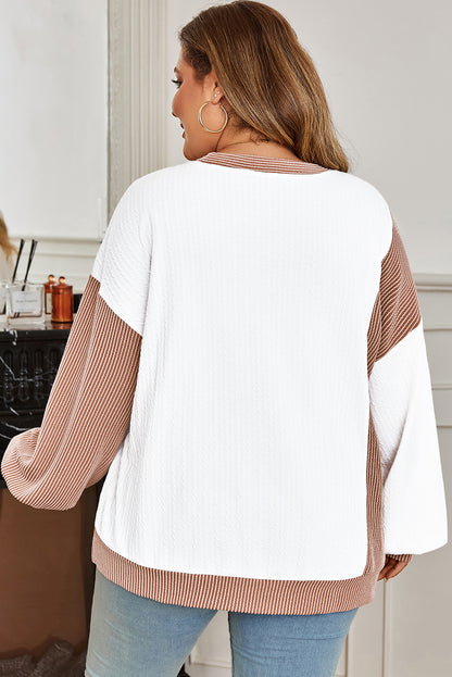 White Cable Texture Ribbed Color Block Plus Size Knit Top