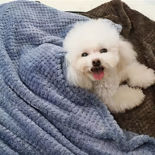 Cozy Ultra-Soft Pet Blanket - Premium Sleeping Pad for Kittens & Puppies - Small, Machine-Washable, Snug Bed for Cats & Dogs