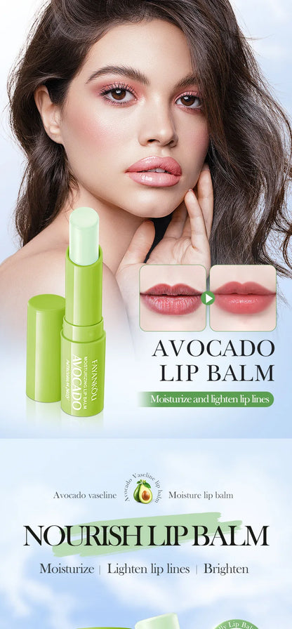 Autumn/Winter Avocado Herbal Moisturizing Lip Balm with Fruit Flavored Labeling Regular Size 2.7g