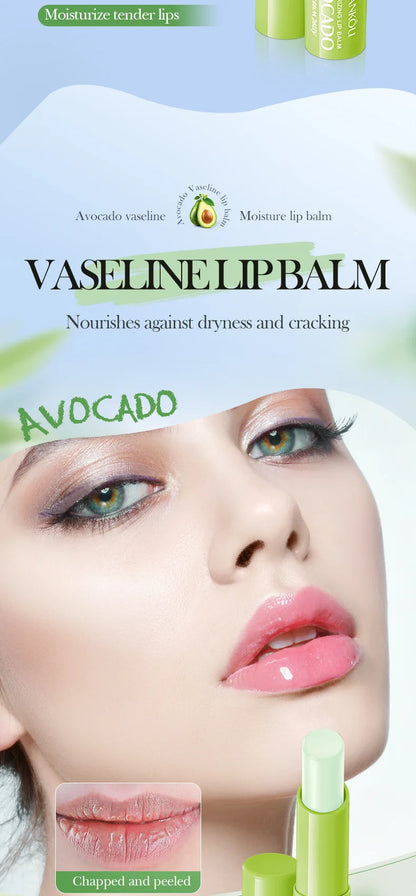 Autumn/Winter Avocado Herbal Moisturizing Lip Balm with Fruit Flavored Labeling Regular Size 2.7g