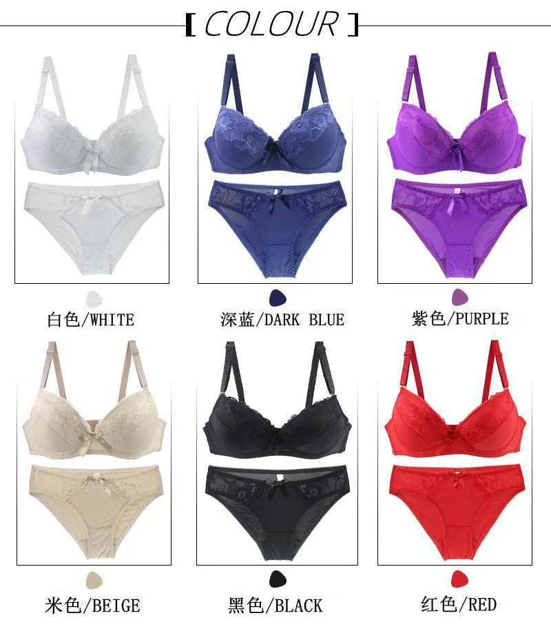 2025 New Sexy Bras Set Embroidered Lace Push Up 2 Piece Underwear For Women Plus Size White Black Beige Blue Red Purple Lingerie
