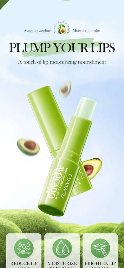 Autumn/Winter Avocado Herbal Moisturizing Lip Balm with Fruit Flavored Labeling Regular Size 2.7g
