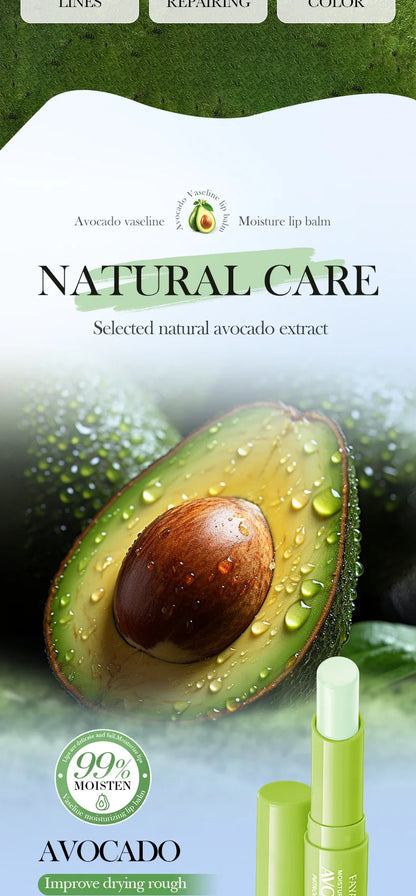 Autumn/Winter Avocado Herbal Moisturizing Lip Balm with Fruit Flavored Labeling Regular Size 2.7g