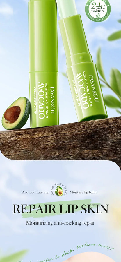 Autumn/Winter Avocado Herbal Moisturizing Lip Balm with Fruit Flavored Labeling Regular Size 2.7g
