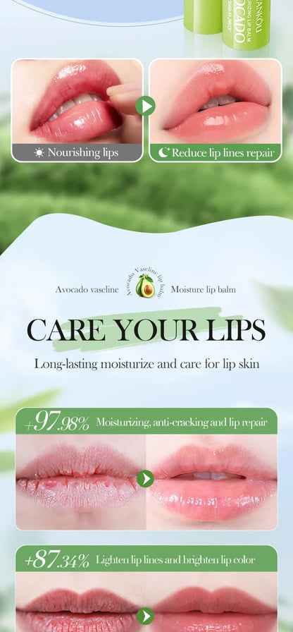 Autumn/Winter Avocado Herbal Moisturizing Lip Balm with Fruit Flavored Labeling Regular Size 2.7g