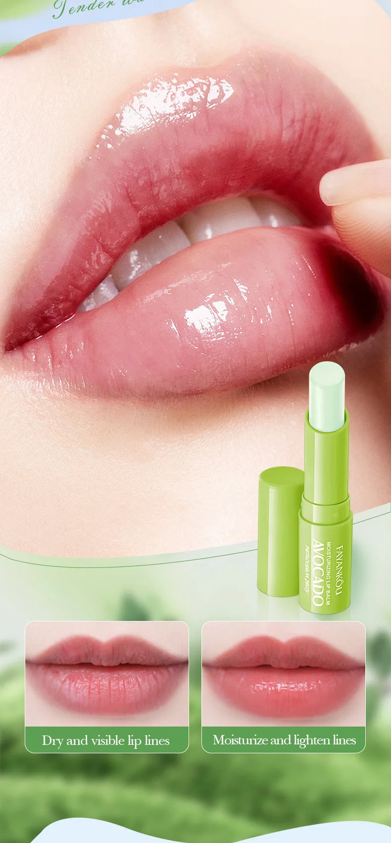 Autumn/Winter Avocado Herbal Moisturizing Lip Balm with Fruit Flavored Labeling Regular Size 2.7g