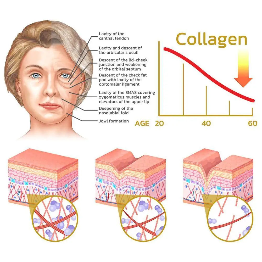 Snail Collagen Face Cream/Repair Essence Moisturizing Lifting Smoothing Nourishing Cream Korean Cosmetics Skin Care