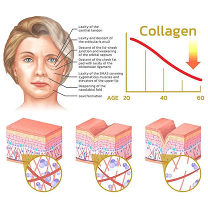 Snail Collagen Face Cream/Repair Essence Moisturizing Lifting Smoothing Nourishing Cream Korean Cosmetics Skin Care