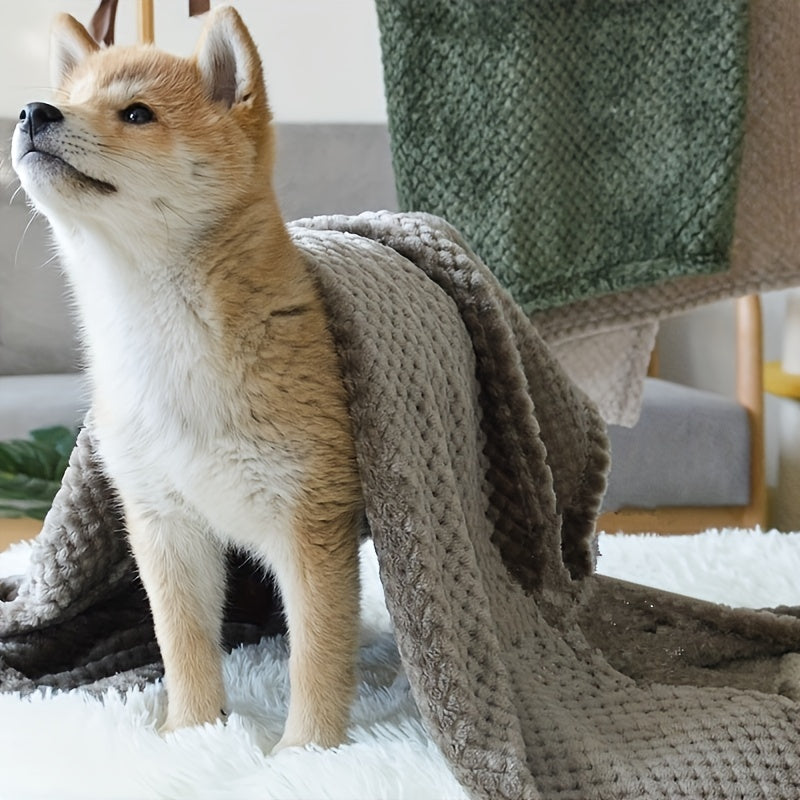 Cozy Ultra-Soft Pet Blanket - Premium Sleeping Pad for Kittens & Puppies - Small, Machine-Washable, Snug Bed for Cats & Dogs